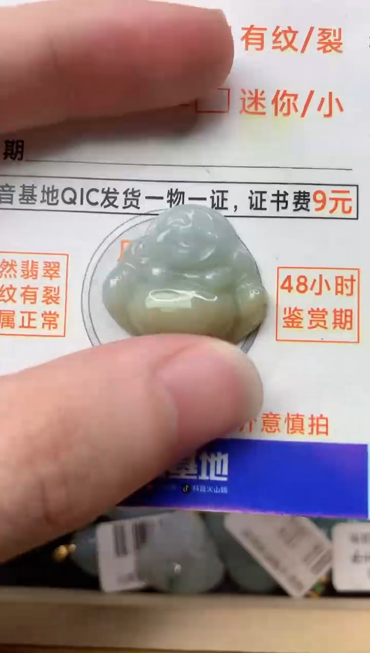 【闪购商品】翡翠颈饰未镶嵌1............