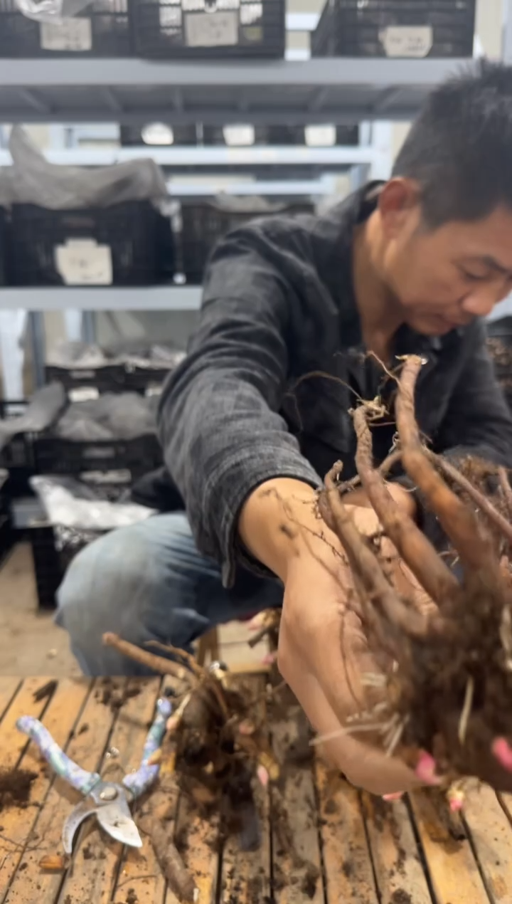 f****6  79.9  餐盘    fm101.6  