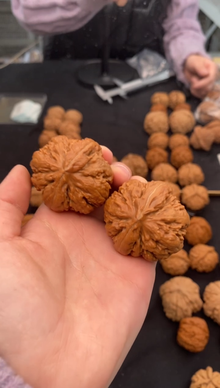 【闪购商品】文玩核桃把件霸王龙41-t974