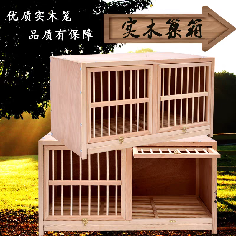 松木材质鸽子配对笼赛飞巢箱