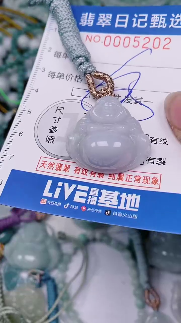 【闪购商品】翡翠颈饰未镶嵌00005202