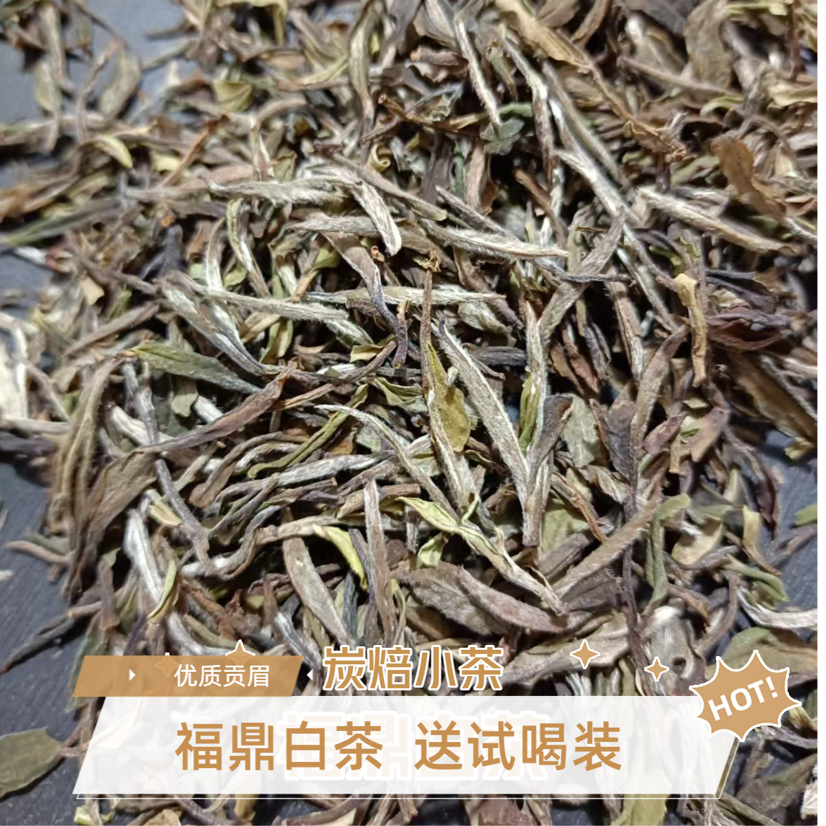 【须尽欢贡眉】福鼎白茶2021年炭焙荒野小菜茶高级贡眉