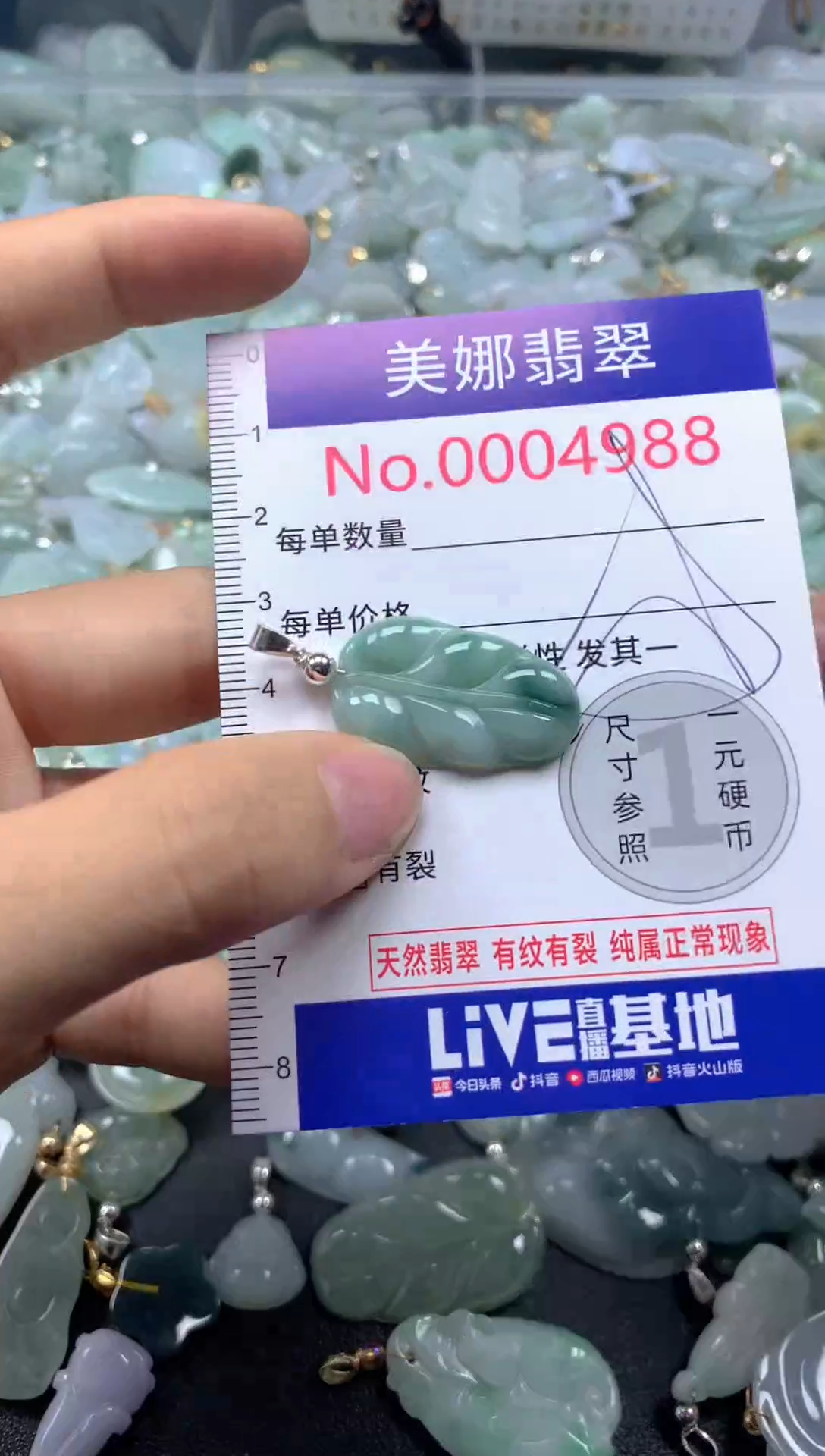 颈饰未镶嵌翡翠4988