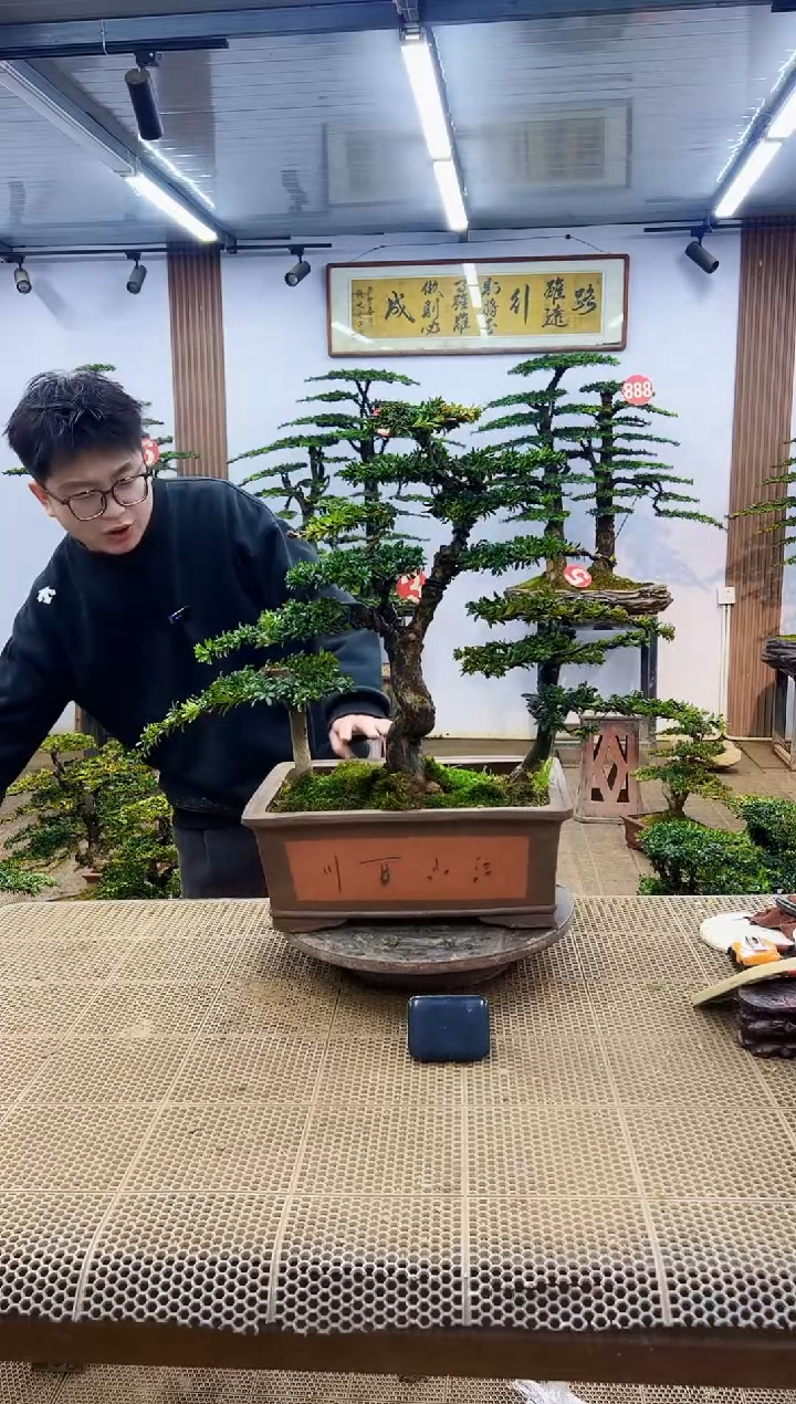 【闪购商品】一物一拍，所见即所得