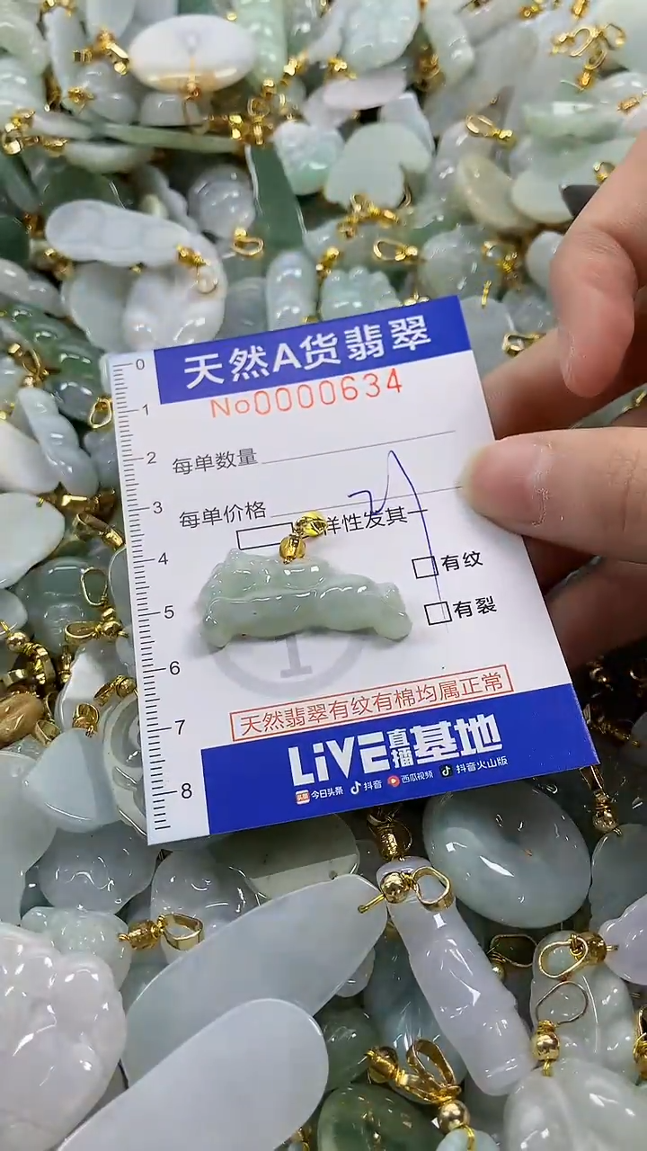 颈饰未镶嵌翡翠纯天然a货翡翠