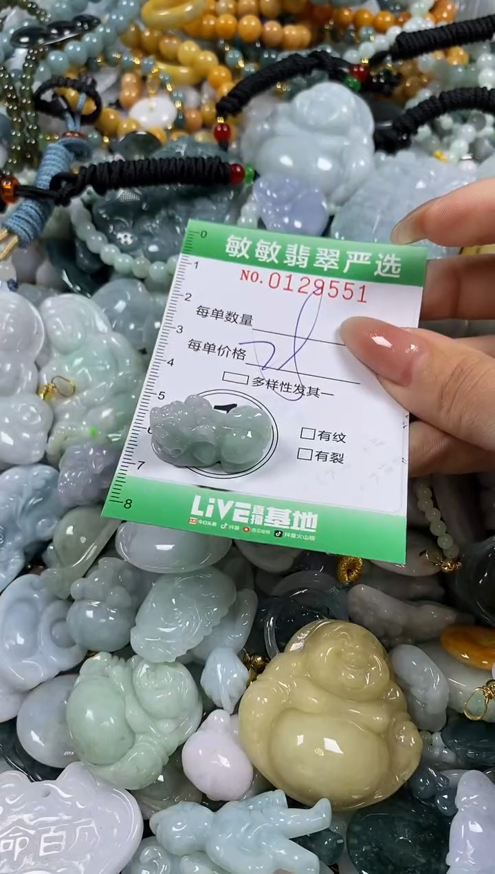 【闪购商品】翡翠颈饰未镶嵌闪购0129551