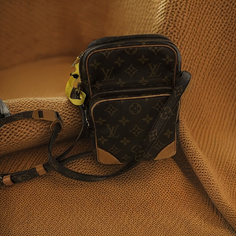 95新 LouisVuitton/路易威登 全原竖版双层相机 单肩包 31031