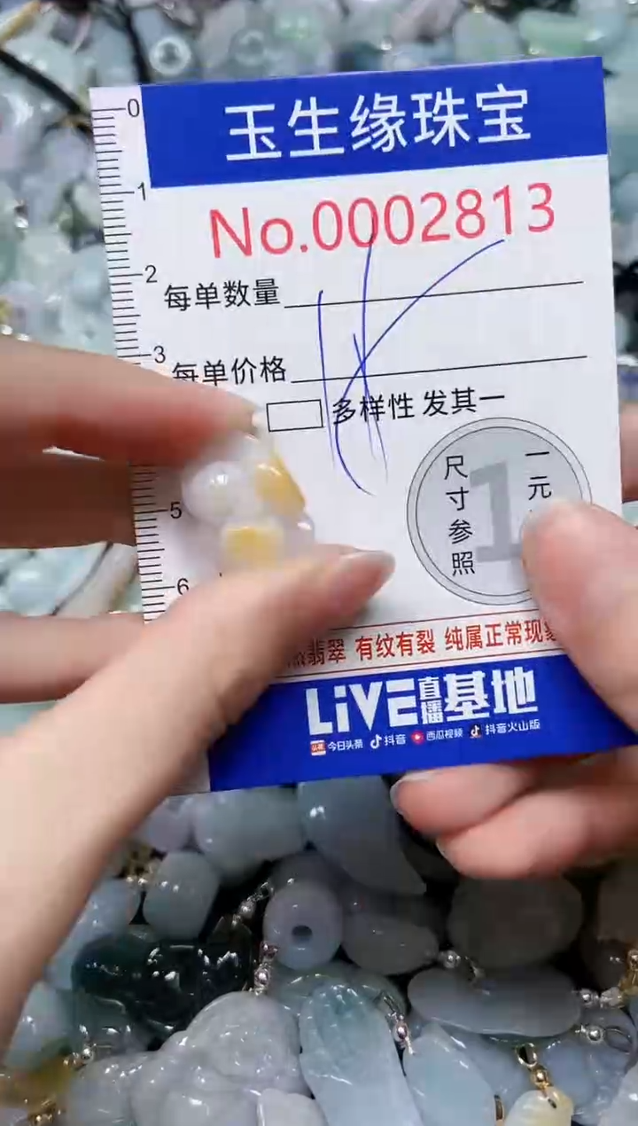 【闪购商品】翡翠颈饰未镶嵌闪购00002813