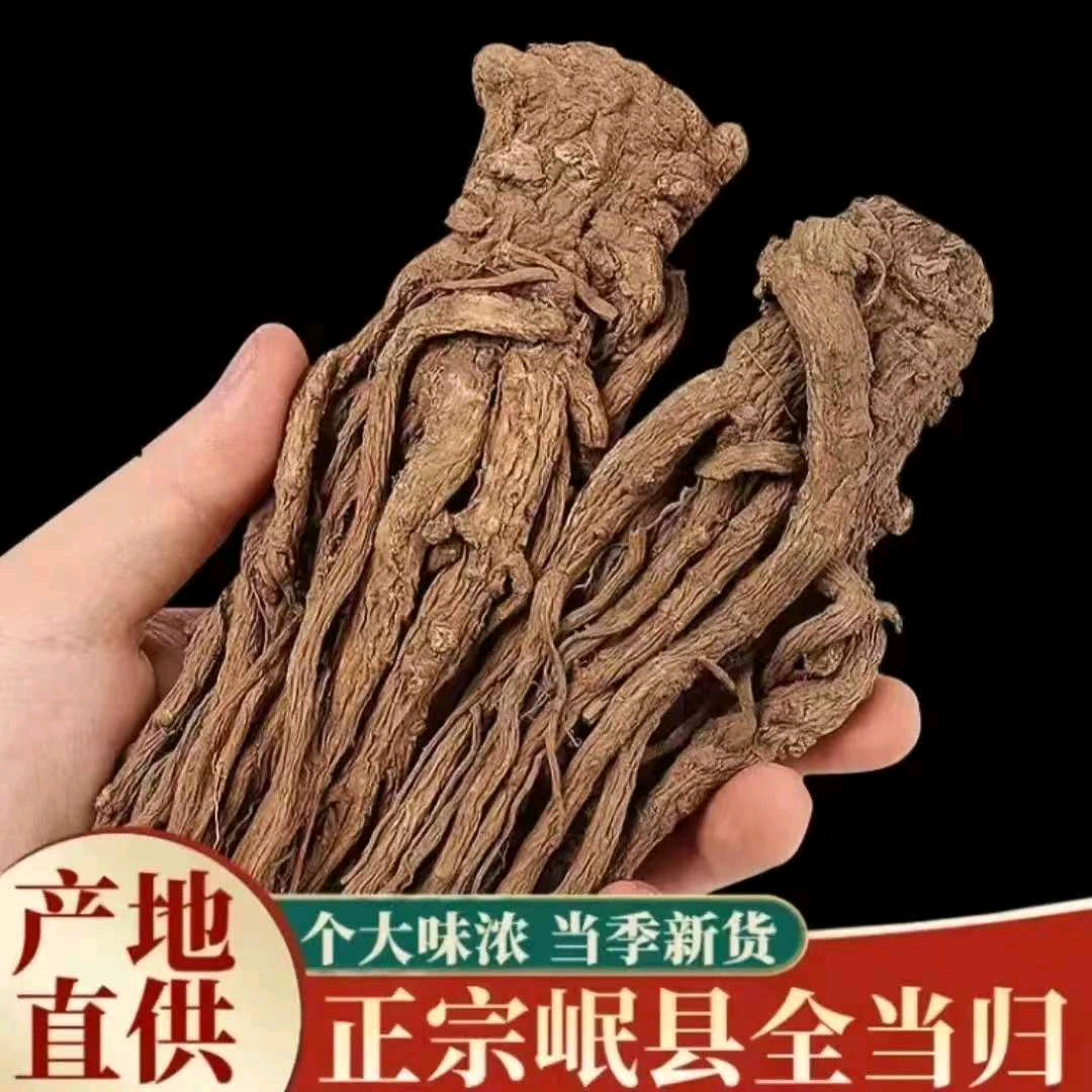 甘肃岷县特级当归整根可搭配黄芪党参煲汤滋补气血中药材