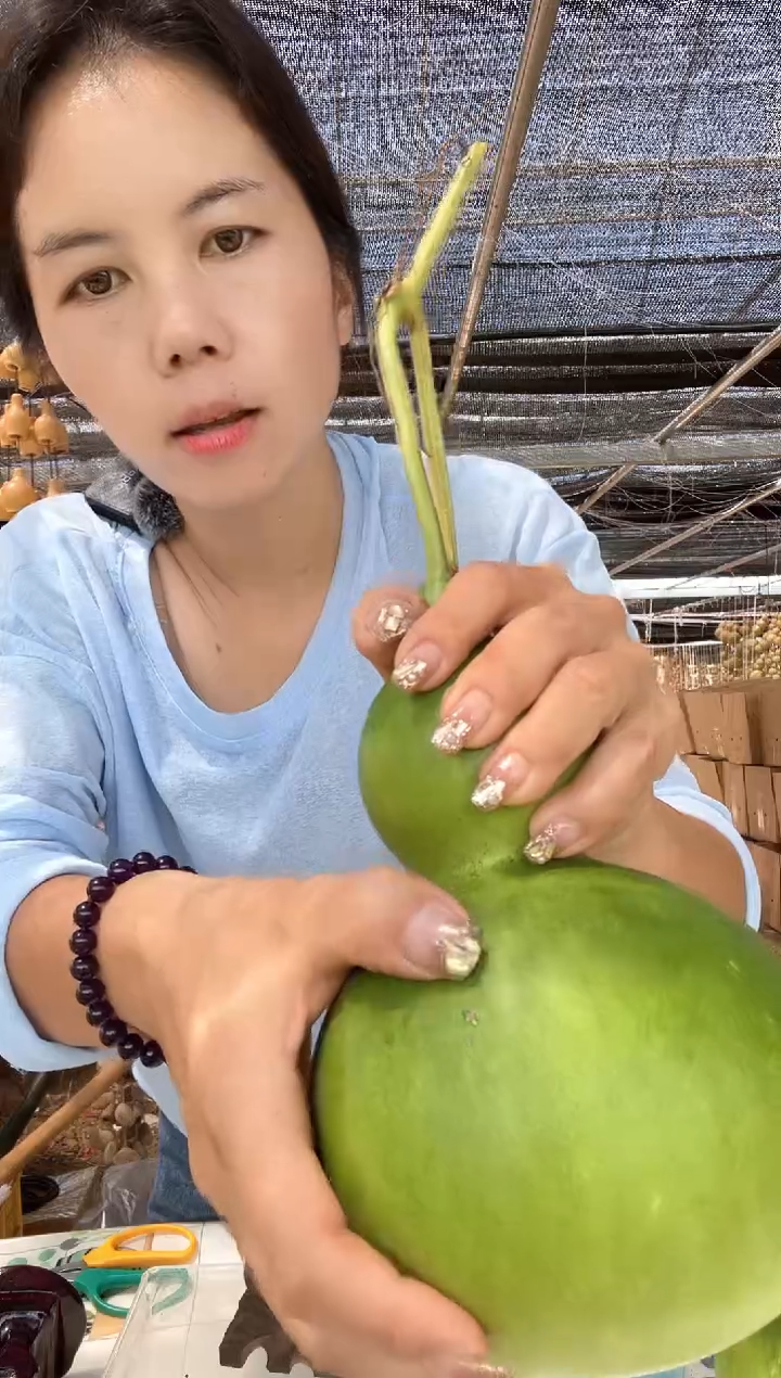 534天然葫芦摆件 一物一拍龙头不保售后微瑕疵