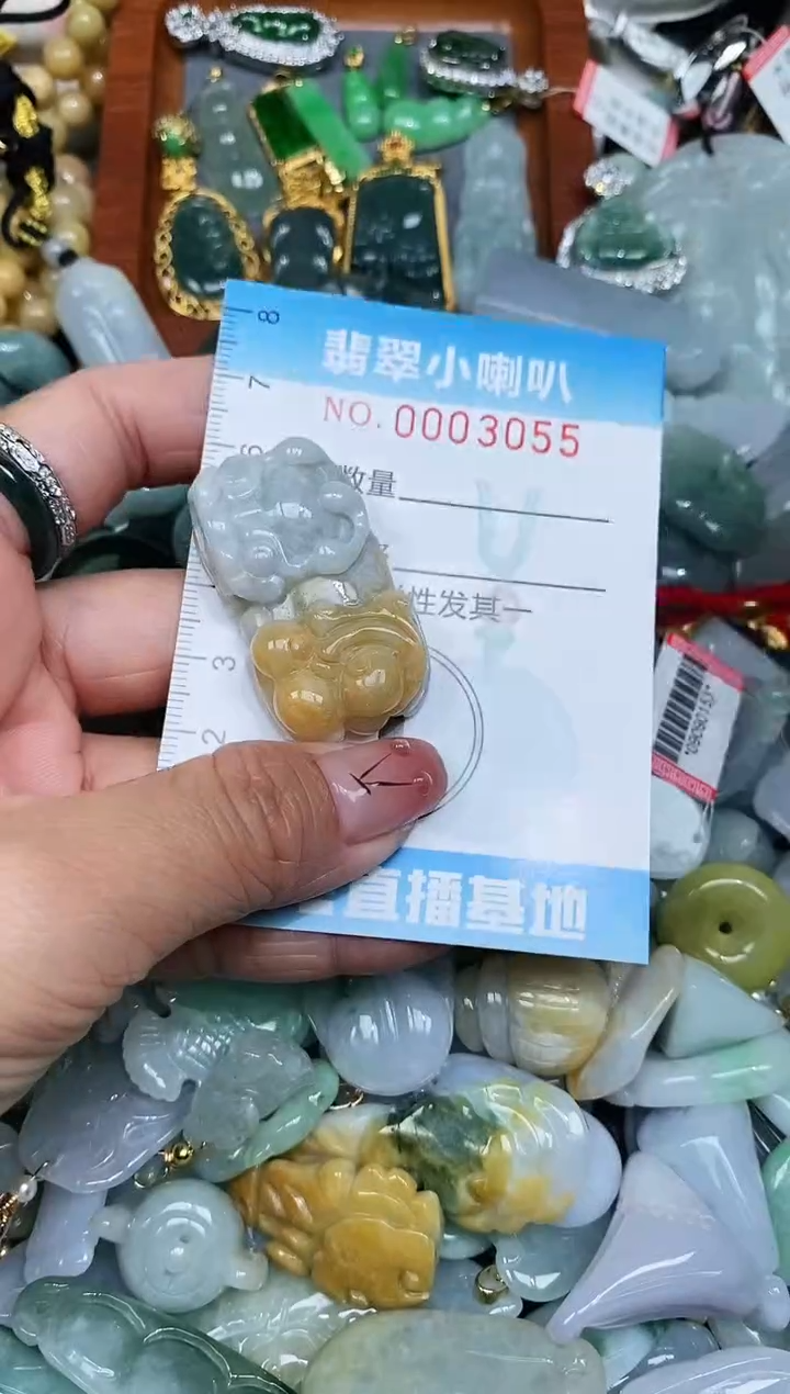 【闪购商品】翡翠颈饰未镶嵌闪购0003055