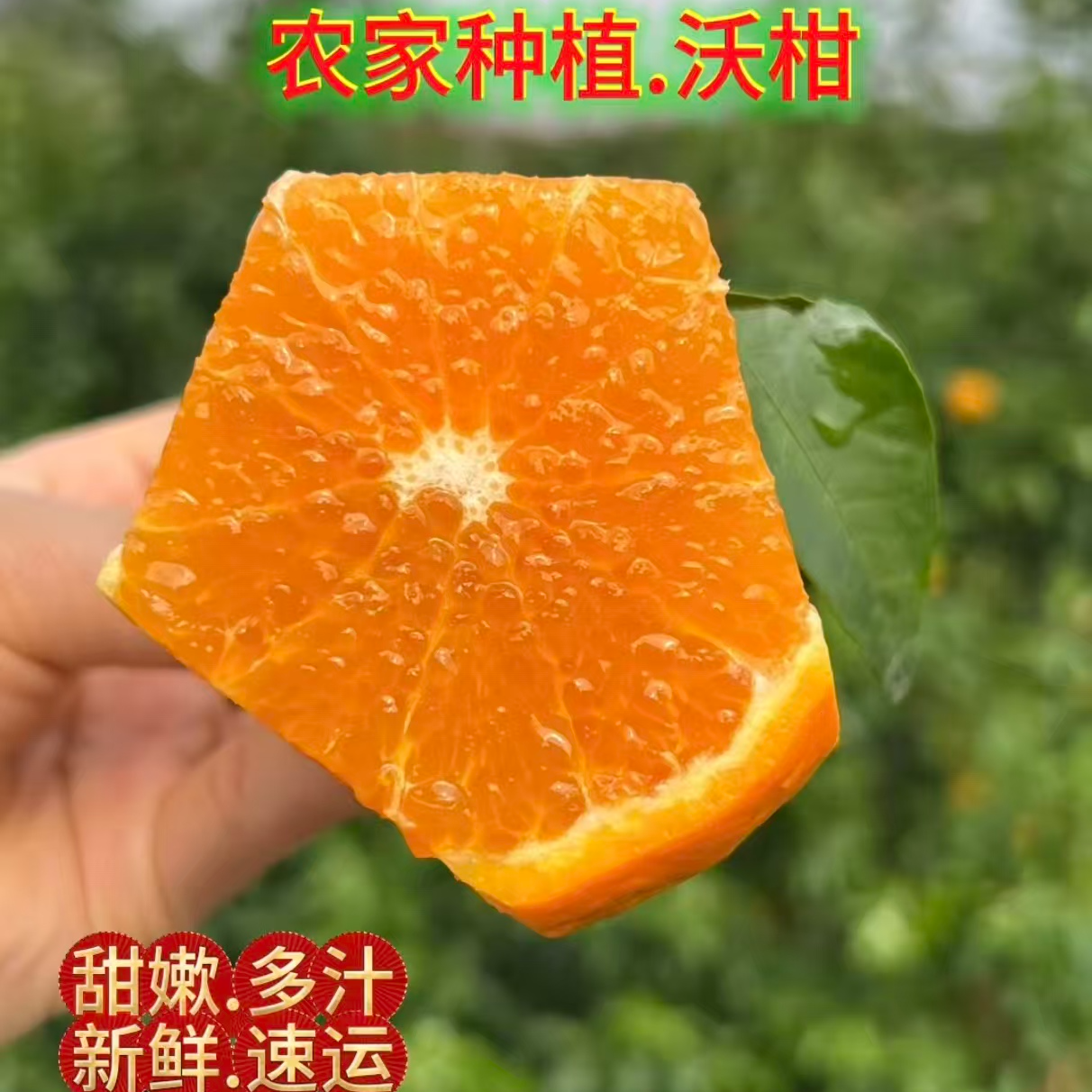 W25年头茬沃柑产地直发农家种植高原沃柑当季水果产地直发包邮