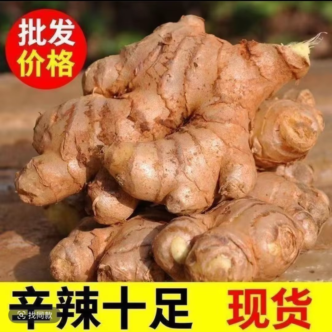 【2025年老姜】老黄姜香味浓郁辛辣山地种植产地直销坏了陪