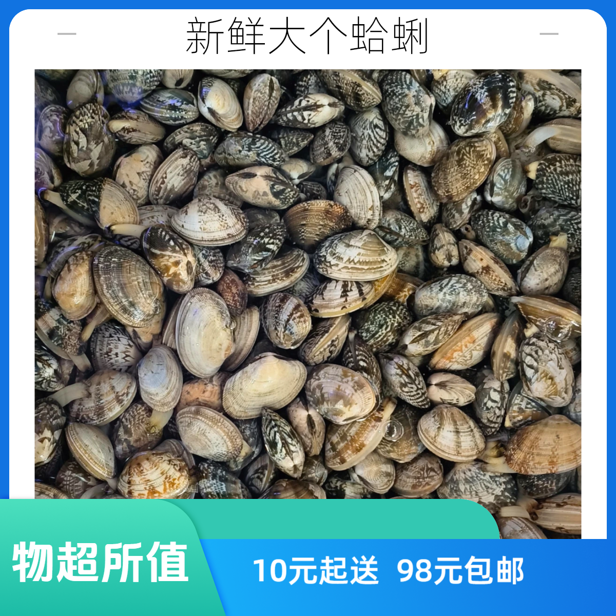 鲜活花蚬子黄蚬子白蚬子【老笨生鲜】10元起送满98元包邮500g