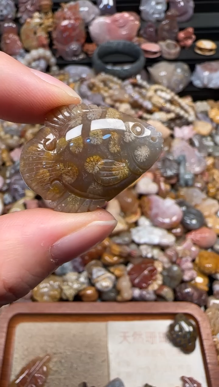颈饰未镶嵌硅化珊瑚（珊瑚玉）565