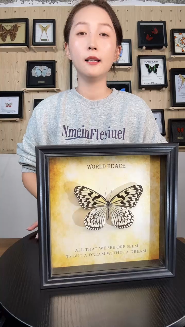 大帛斑蝶（蝴蝶装饰画8寸框）