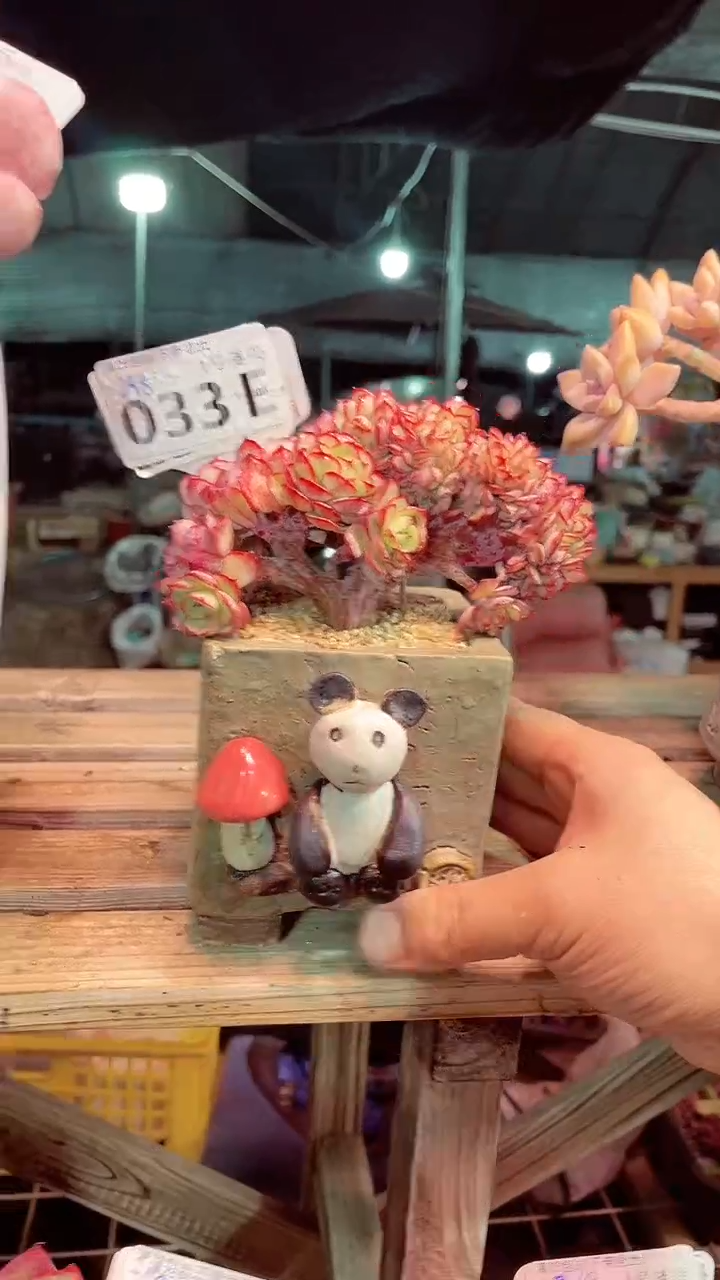 【闪购商品】033EEE