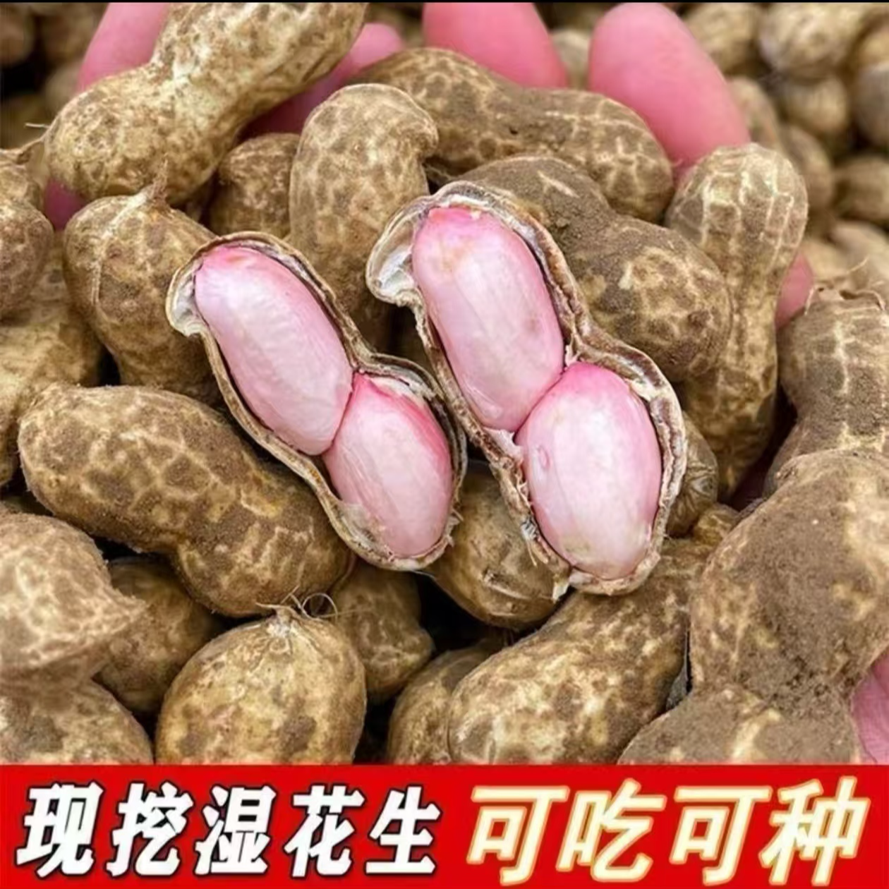 新鲜现挖带壳湿花生农家自种可水煮生吃粉皮花生