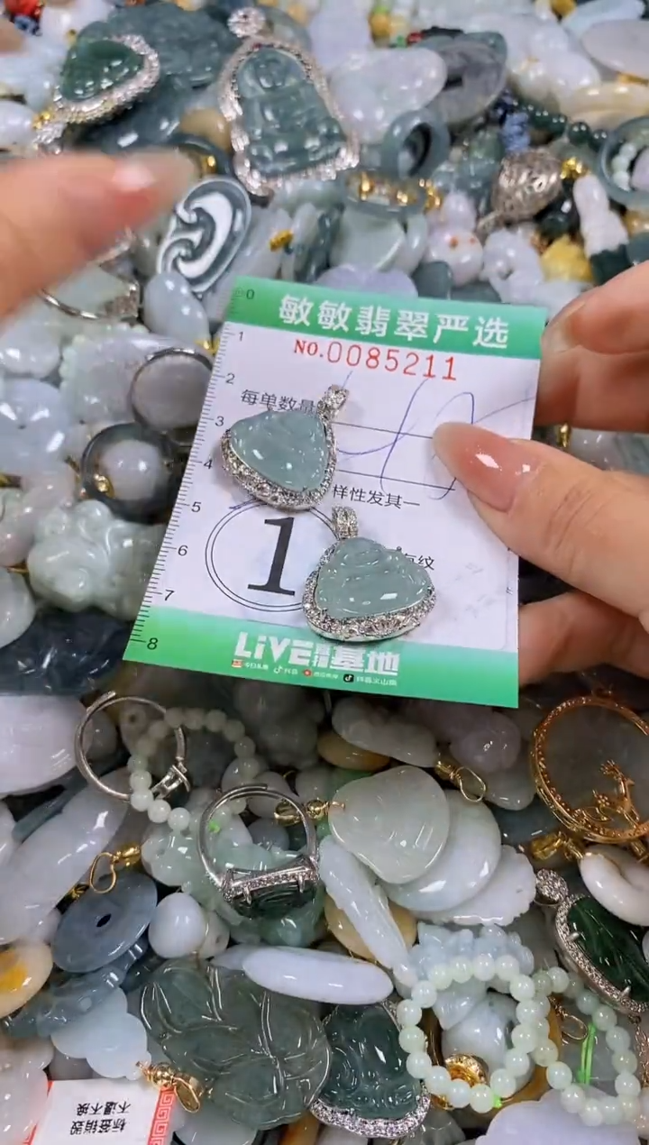 【闪购商品】翡翠颈饰未镶嵌闪购商品0085211多样性发其一