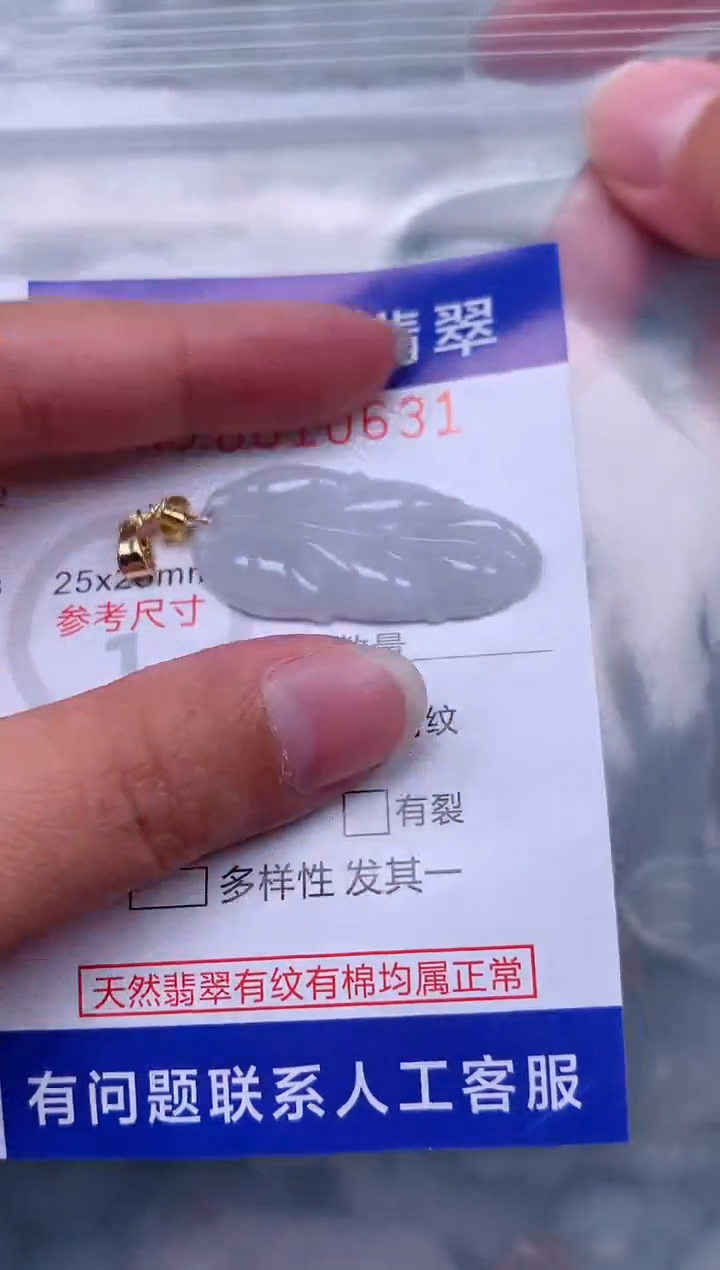 翡翠未镶嵌吊坠(赠链)1