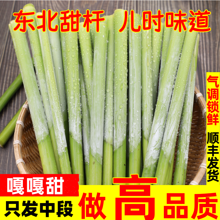 【新货】东北特产甜杆儿时味道小时候回忆甜芦粟东北甜杆嘎嘎甜