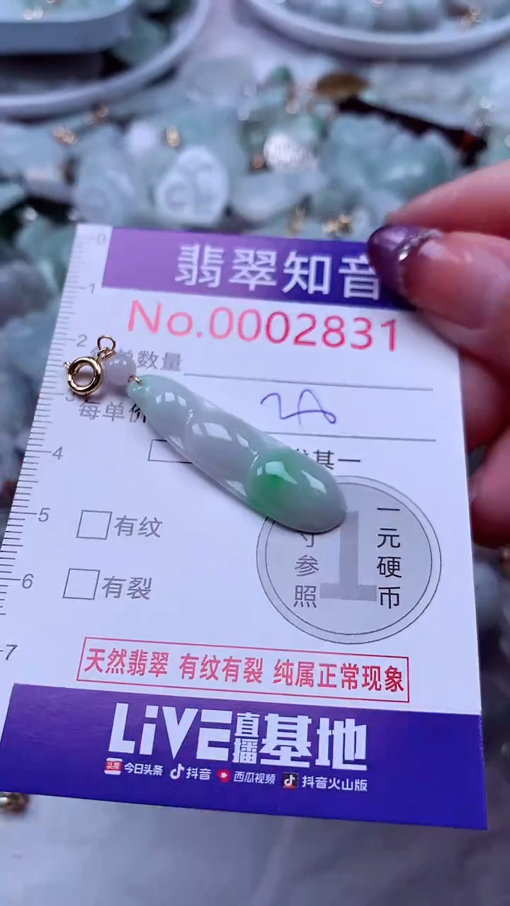 翡翠未镶嵌吊坠(不含链)2831