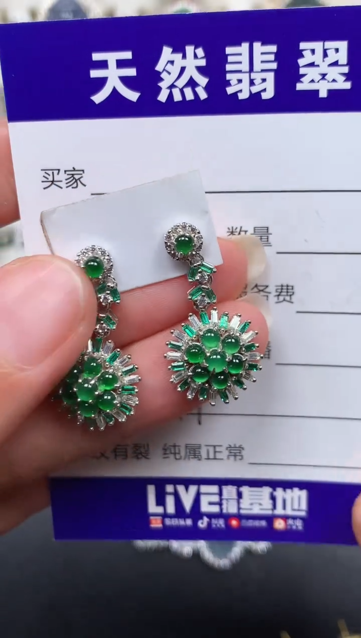 颈饰银S925镶嵌翡翠447