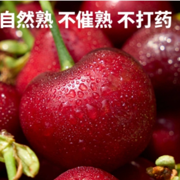 【拍3斤送2斤】新鲜采摘国产车厘子硬脆酸口5斤装 d顺丰/京东 J山东大樱桃