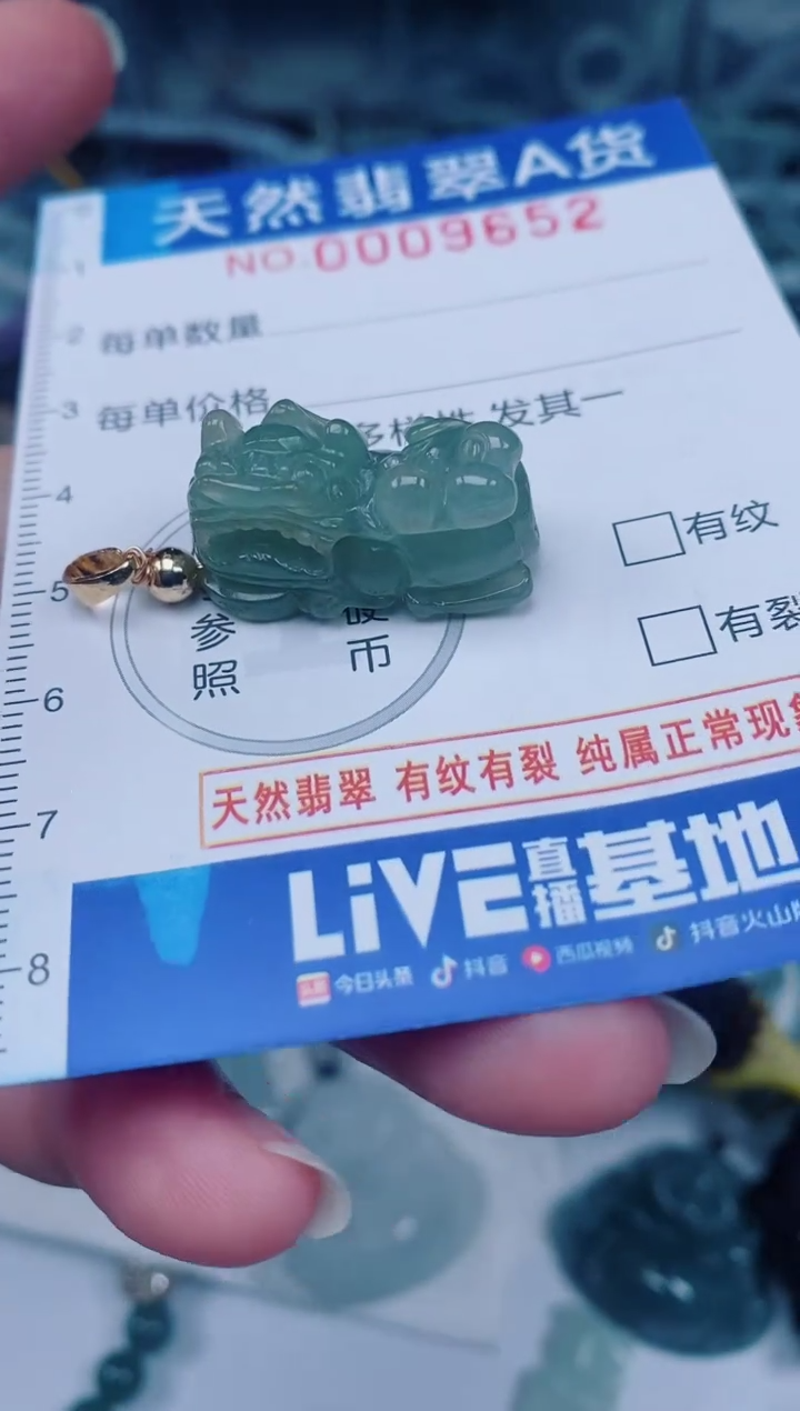 颈饰未镶嵌翡翠00009652