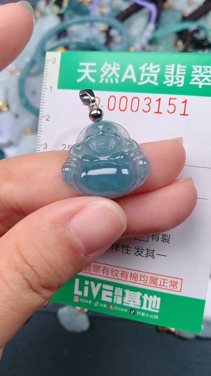 颈饰未镶嵌翡翠.0003151