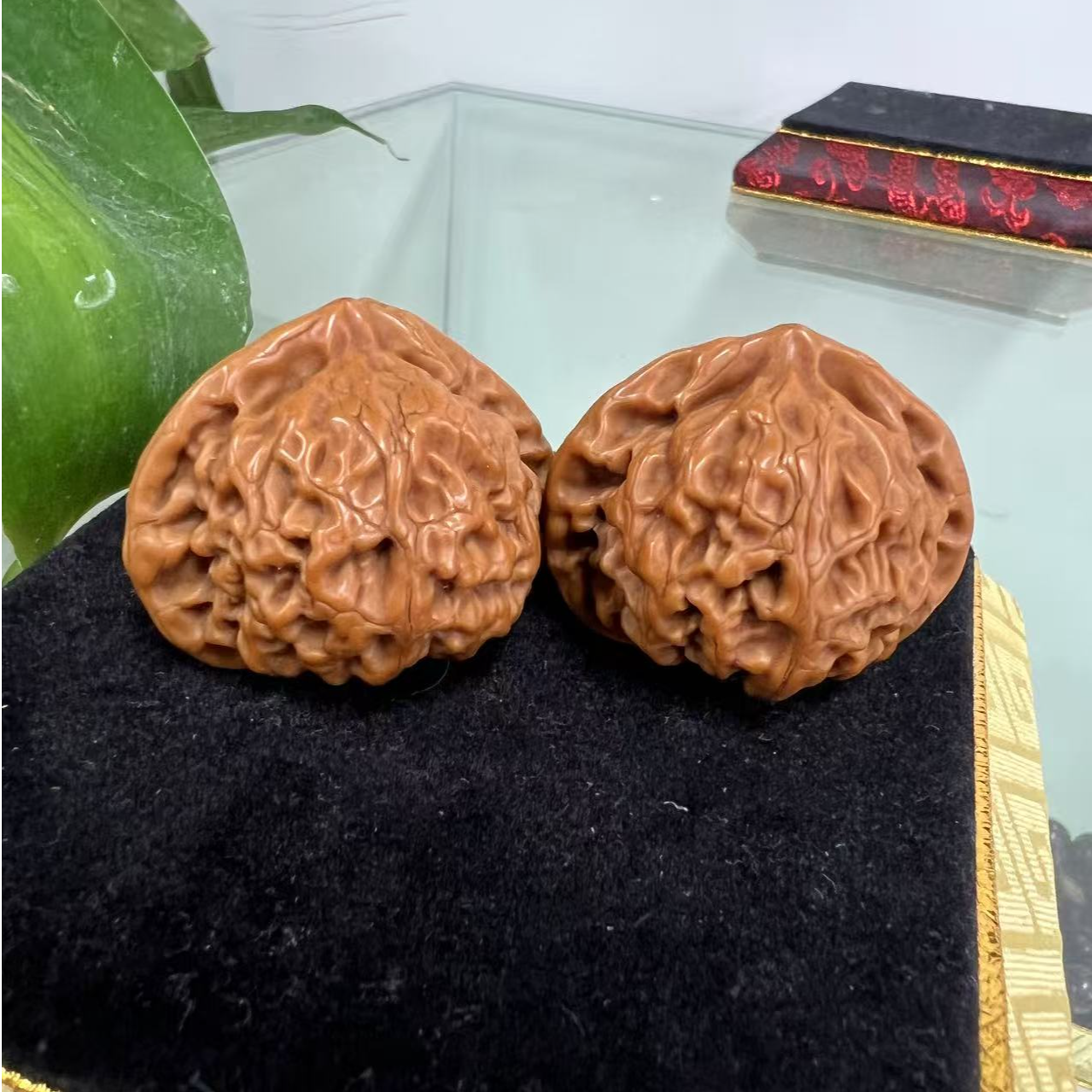 狮子头老树官灯纯手工打底核桃 尺寸4.0-4.2