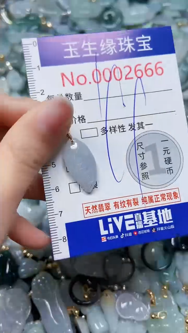 【闪购商品】翡翠颈饰未镶嵌闪购00002666