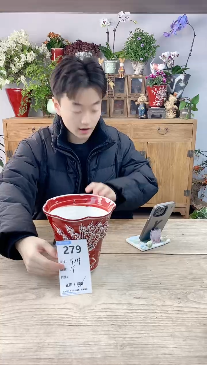 小玩子花盆直播编号279