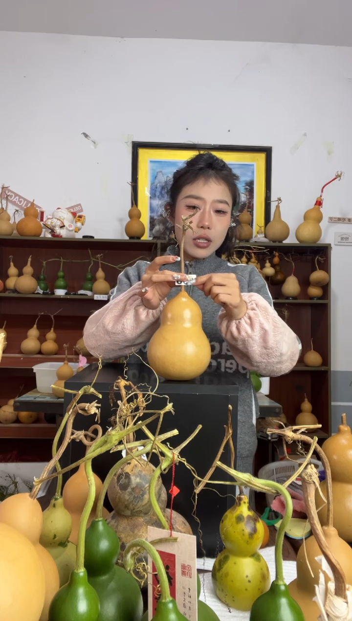 498天然葫芦摆件 一物一拍龙头不保售后