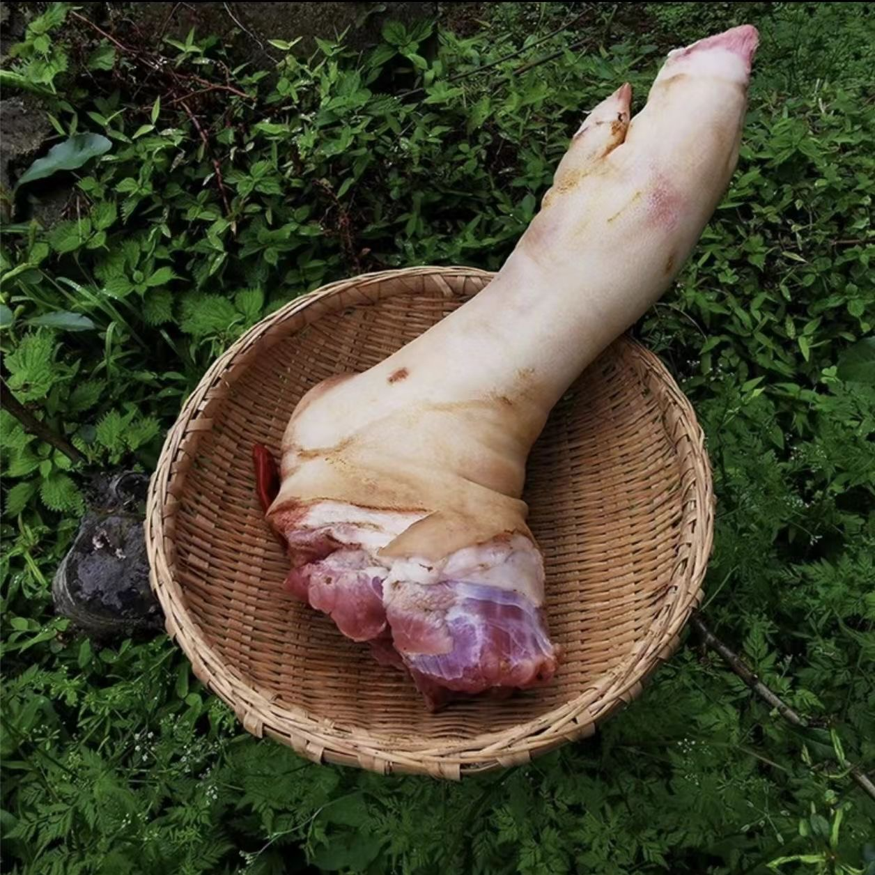 【猪脚】正宗农家粮食大土猪排骨一年半大土猪排骨京东冷链速冻发货