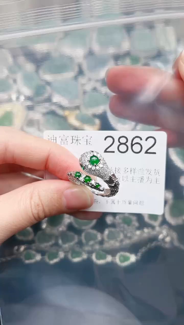 【闪购商品】翡翠颈饰未镶嵌赠皮绳2862