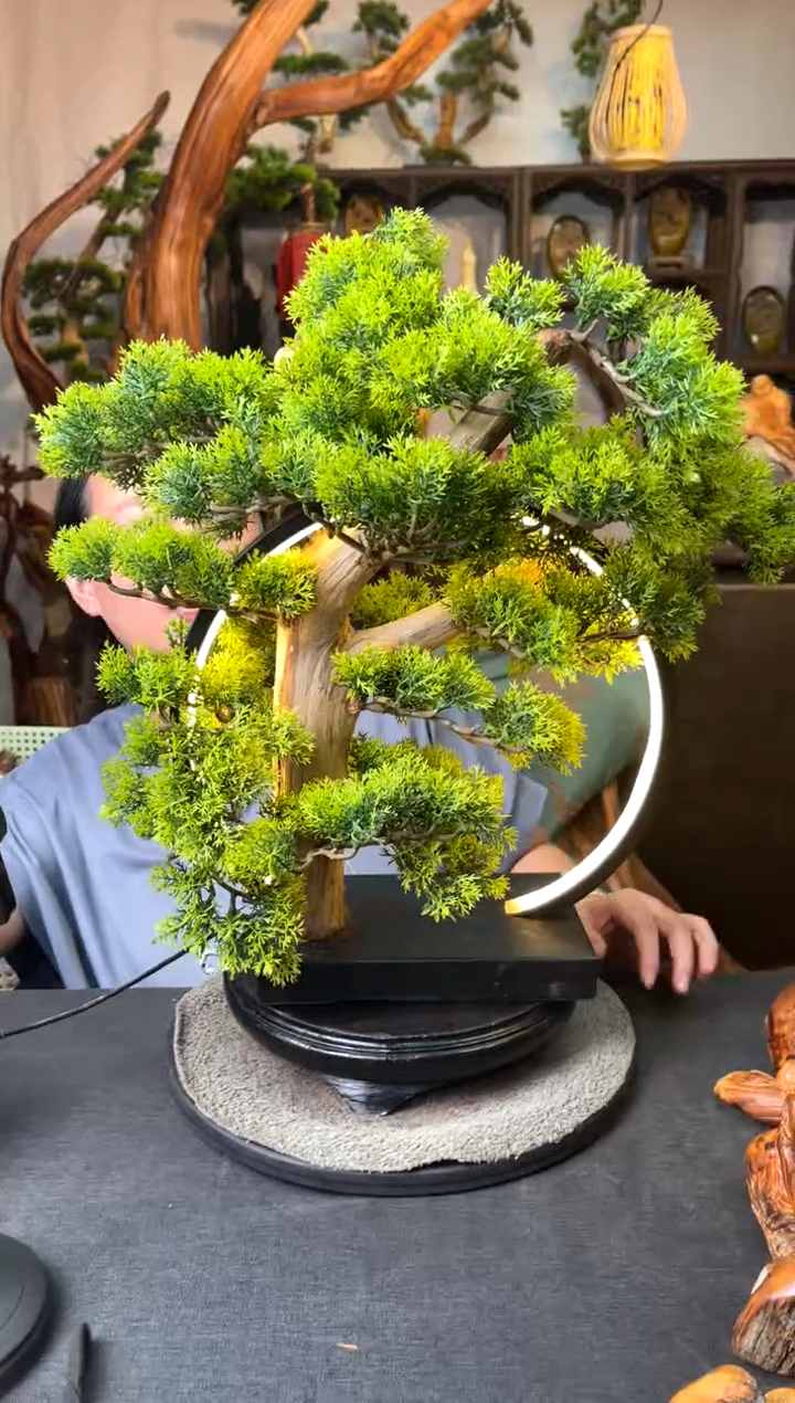 柏木（崖柏）崖柏小件
