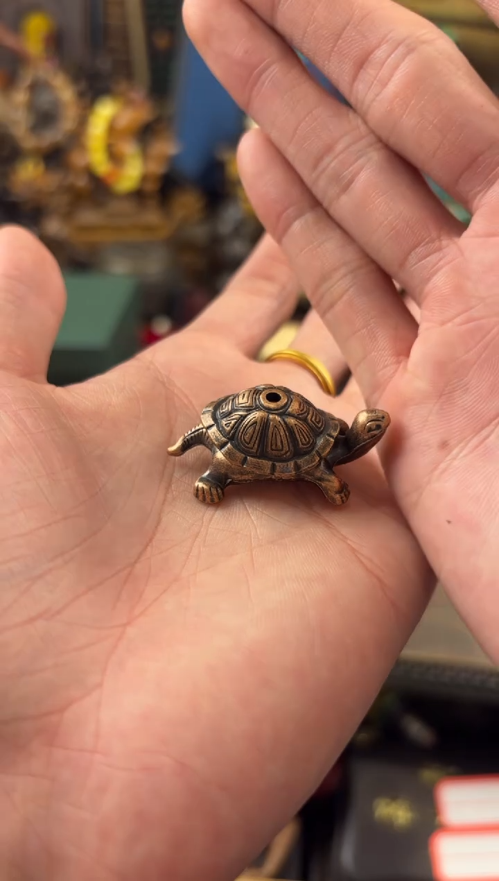 11小七甄选所见及所得