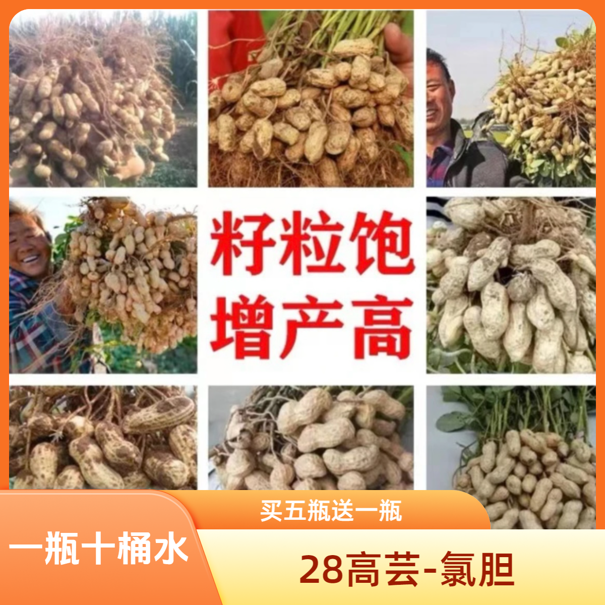 【28高 氯胆】花生红薯大蒜洋葱大姜地下膨果水溶肥料