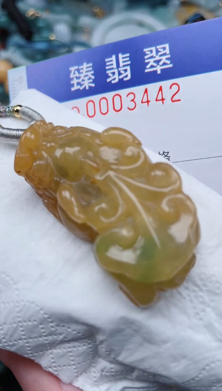 翡翠未镶嵌颈饰.0003442
