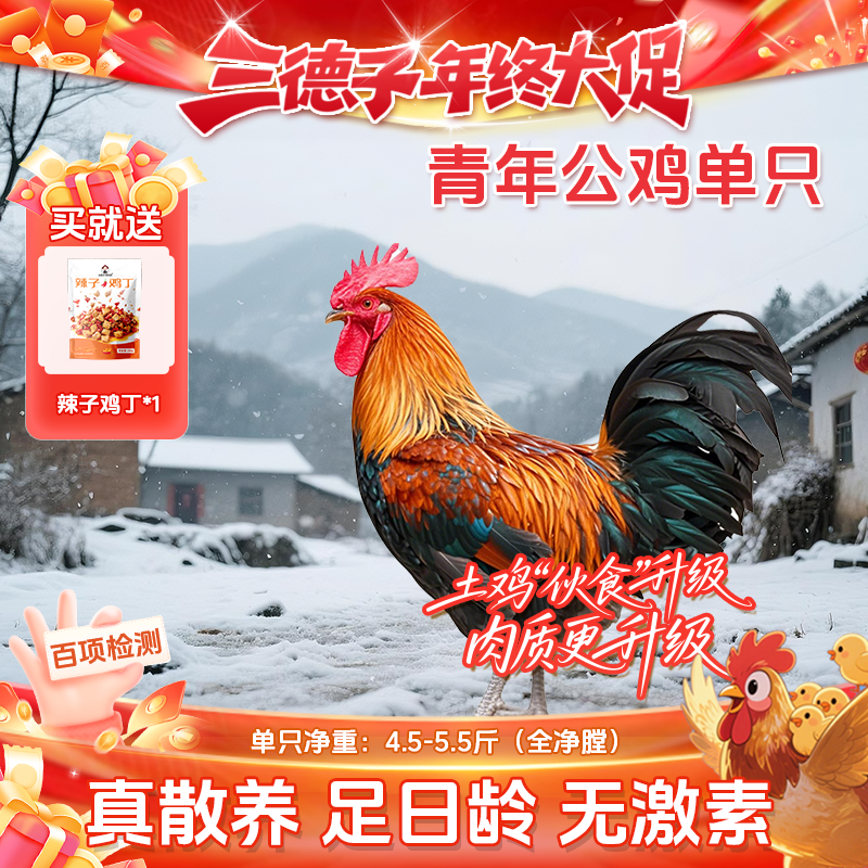 三德子【1只青年公鸡】山地散养200天吃肉炖汤生态鸡跑山鸡新鲜美味