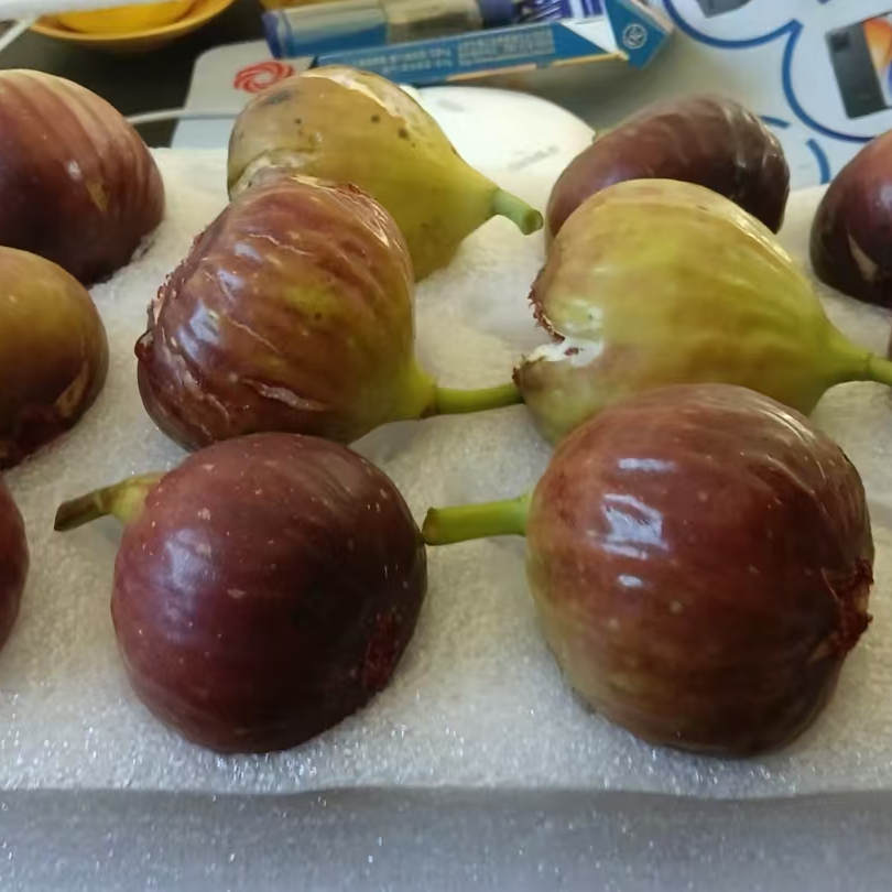 威海波姬红无花果