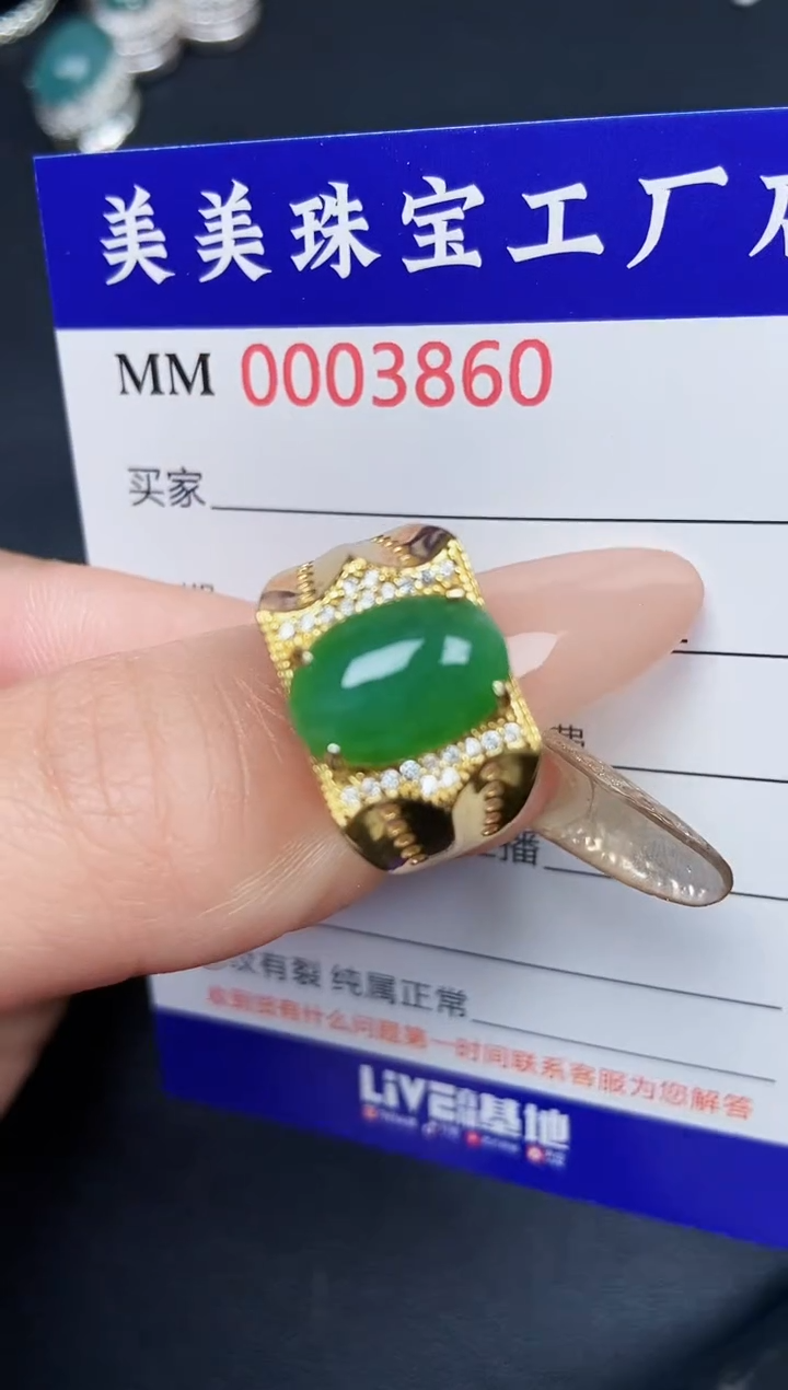 【闪购商品】翡翠颈饰银S925镶嵌3860