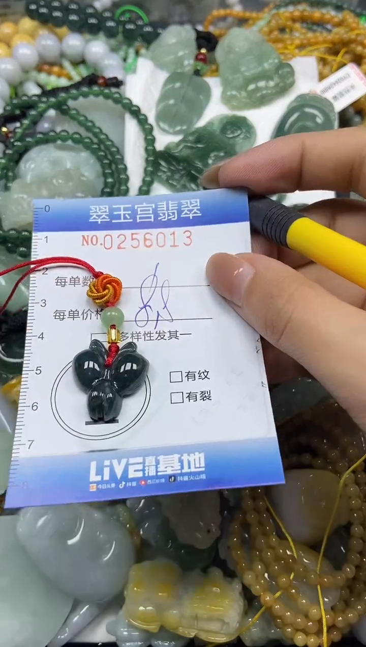 颈饰未镶嵌翡翠闪购C0256013