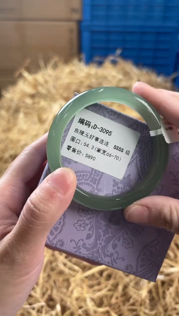 未镶嵌手镯石英质玉D-3095