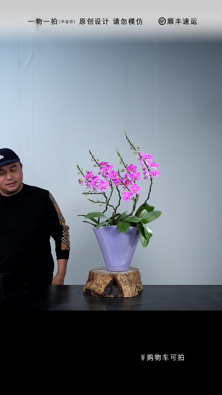 【闪购商品】036号链接【一物一拍】艺术盆景