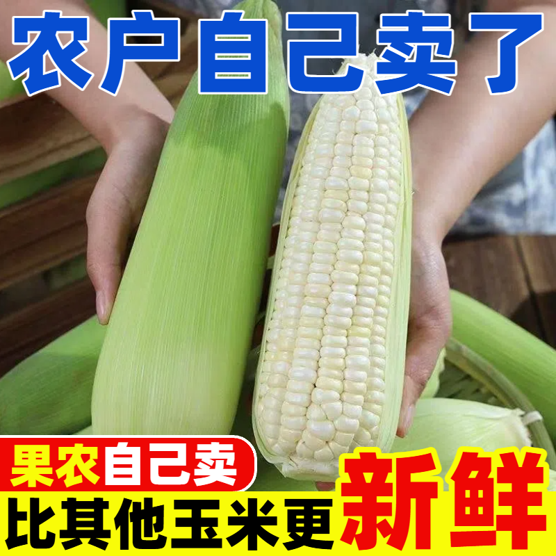 广西现摘新鲜白糯香甜牛奶玉米0脂肪低卡带壳粘玉米农家玉米棒