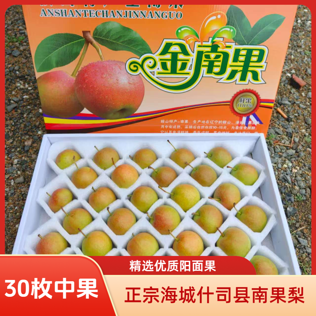正宗海城什司县特产南果梨精品礼盒梨子