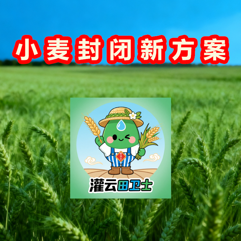 小麦封闭新方案水溶肥料