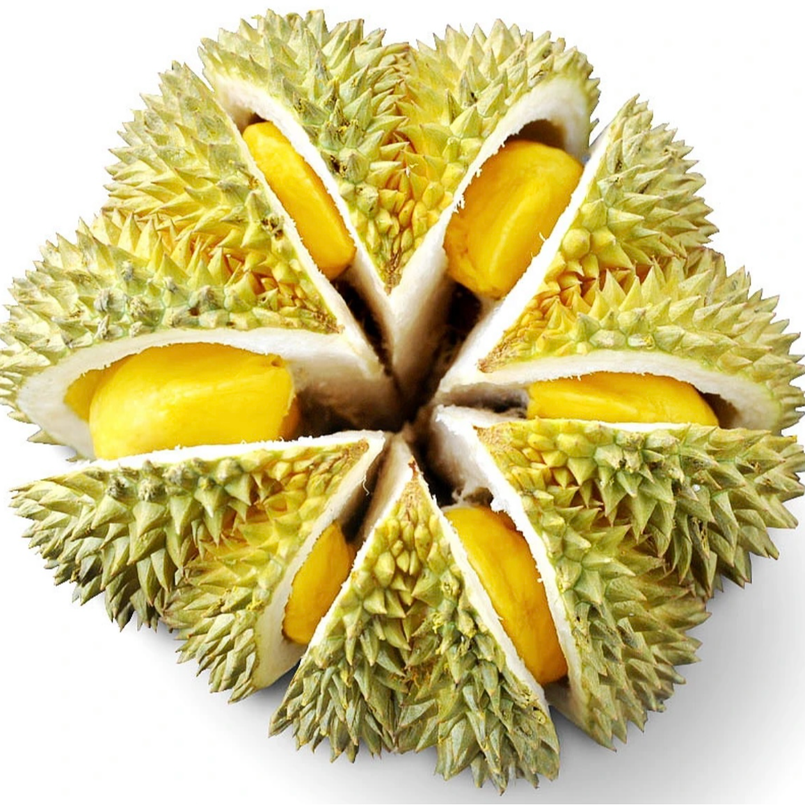 小虎·泰国金枕榴莲老树榴莲香甜软糯一物一拍生切不售后